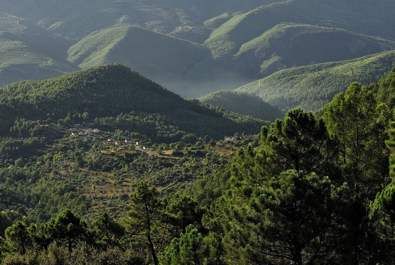 يستي Casas Rurales Tio Frasquito Y Cleto المظهر الخارجي الصورة